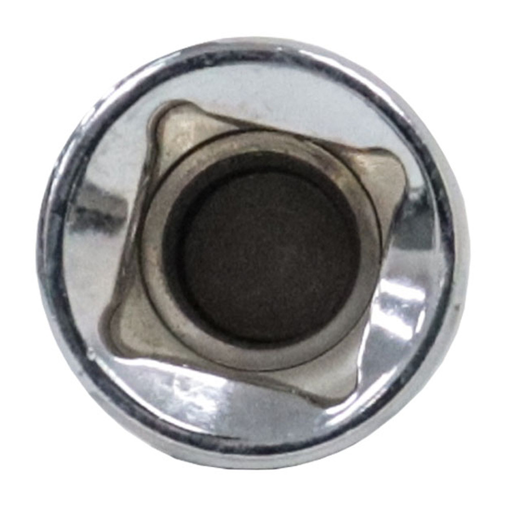 DADO CUADRO 3/8" CON PUNTA TORX, T50 - Imagen 3