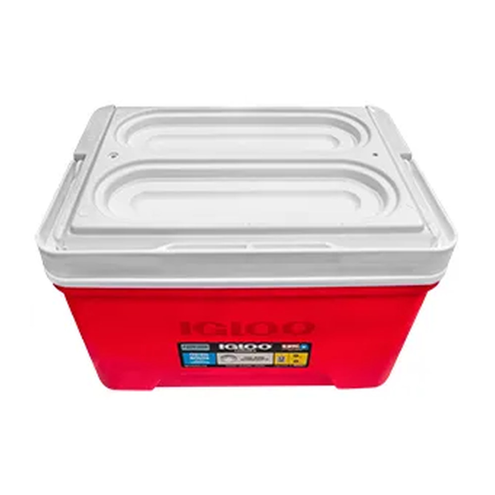 Hielera Igloo 9 qt (8.51 L) Laguna - Imagen 3