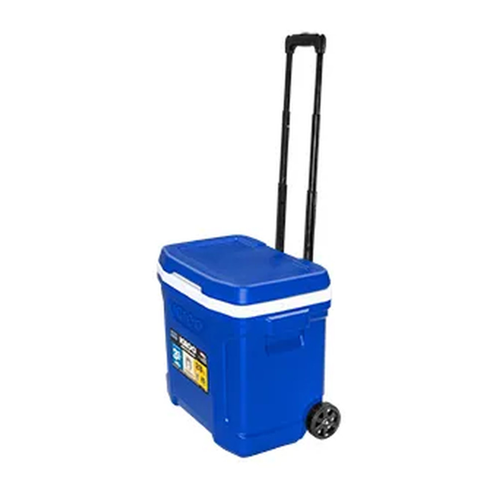 Hielera Igloo 28 qt (26.49 L) Perfil II Roll - Imagen 2