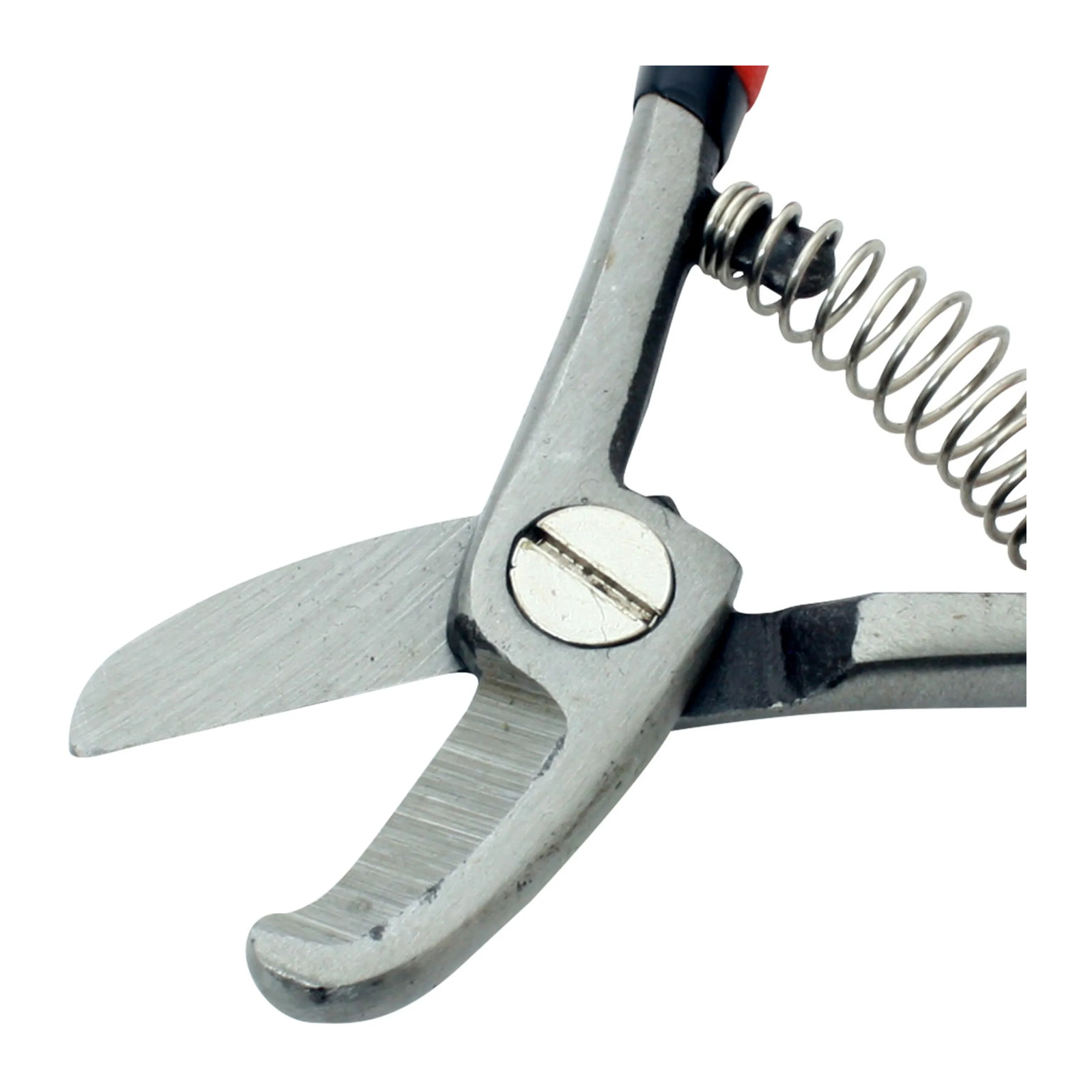 Tijera para Podar Aguacatera 5-1/2" - Imagen 3