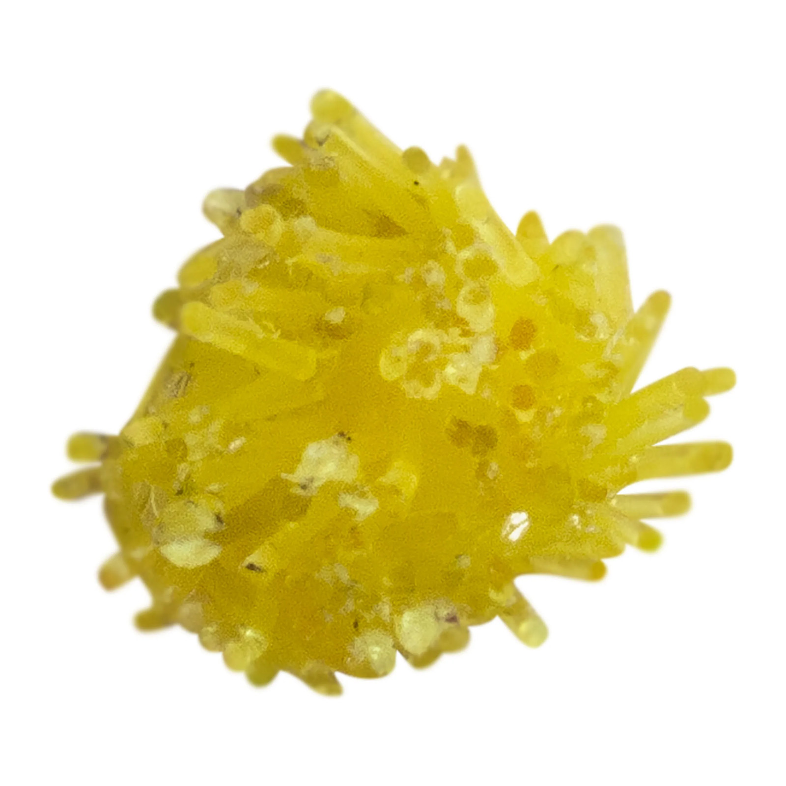 Soga Polipropileno Amarilla 5 mm (3/16") - Imagen 4