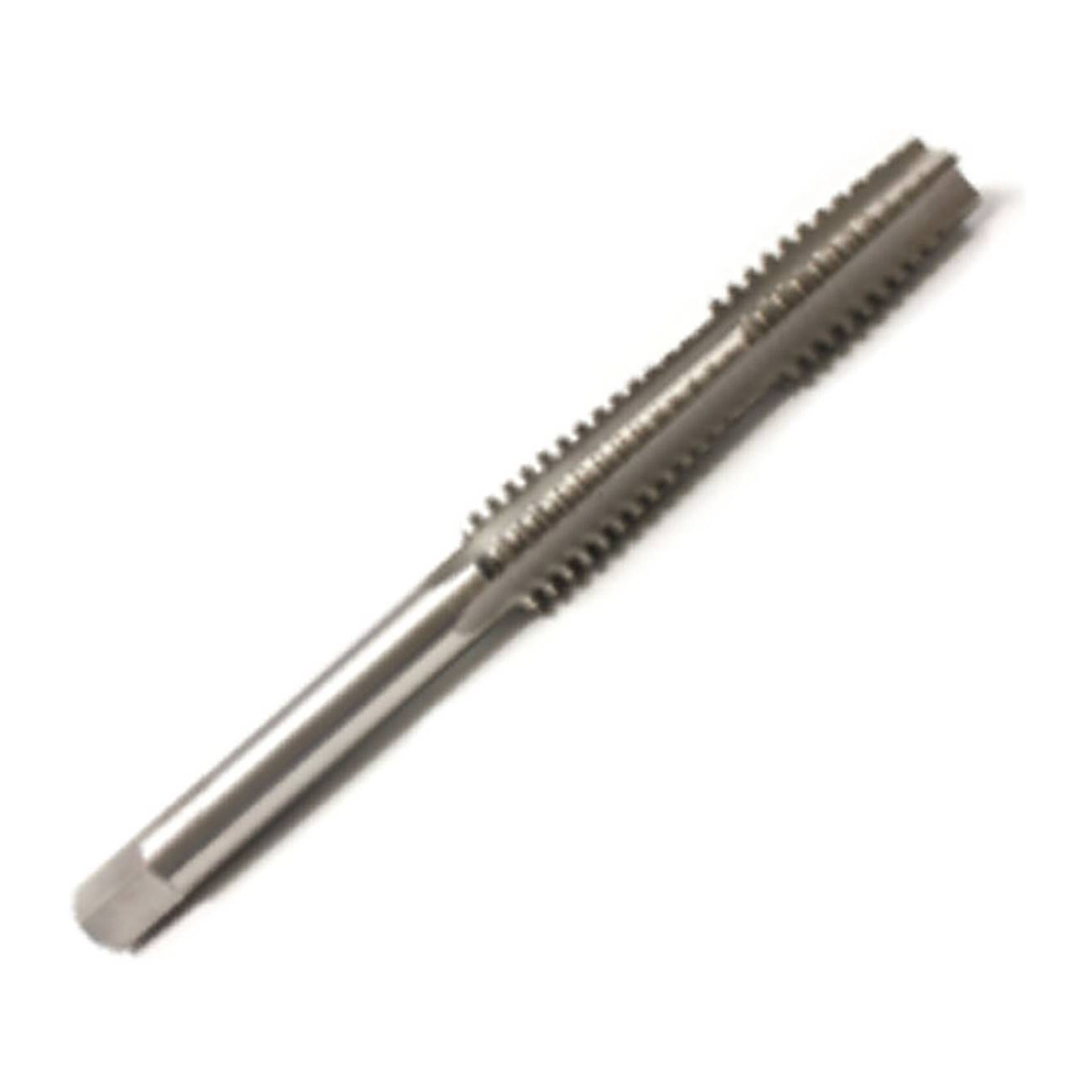Machuelo ACME 3/4"-6 Weston