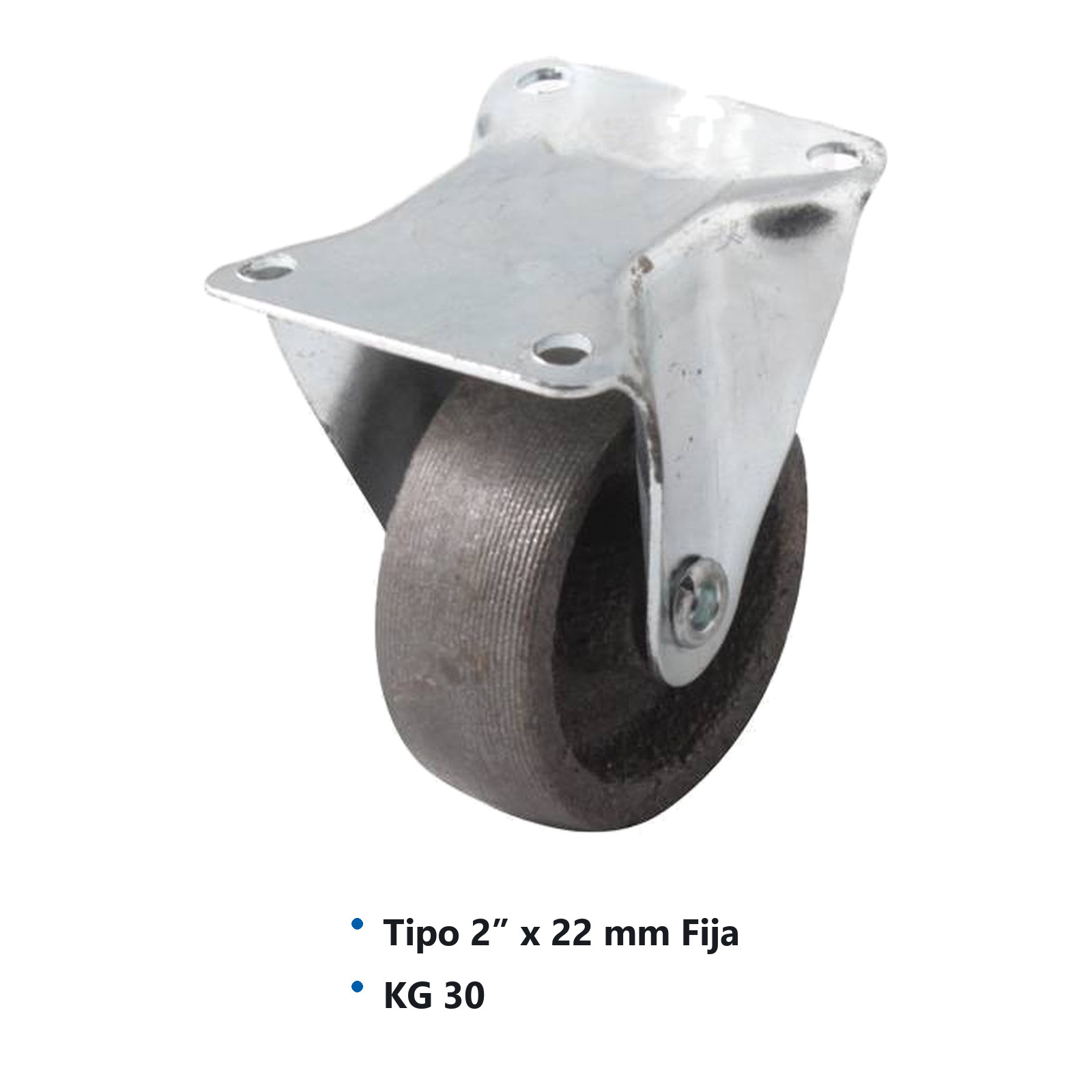 RODAJA DE FIERRO FIJA C/BUJE 2" x 22mm - Imagen 2