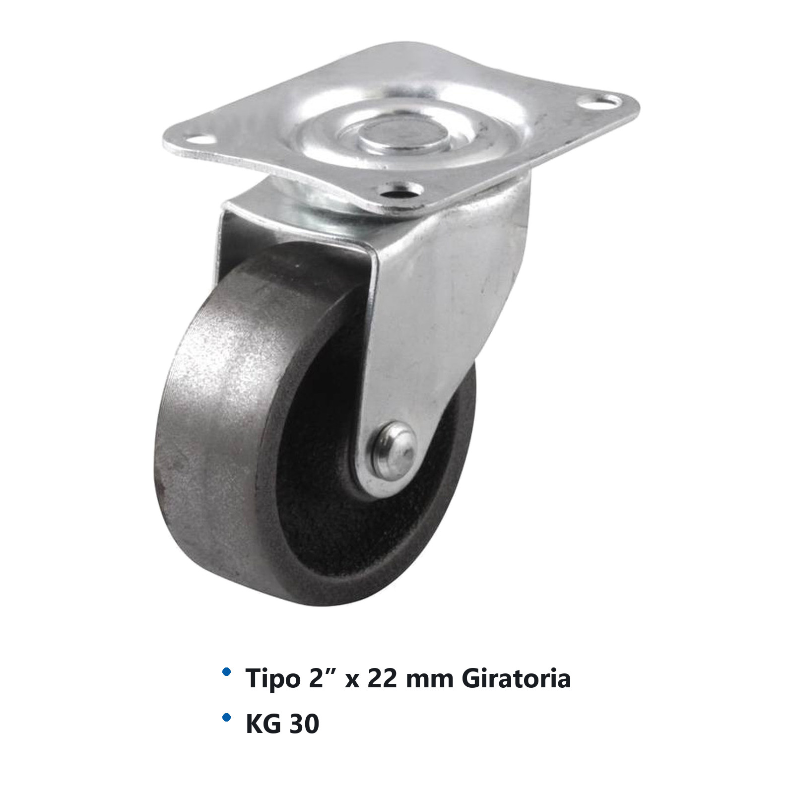 RODAJA DE FIERRO GIRATORIA C/BUJE 2" x 22mm - Imagen 2