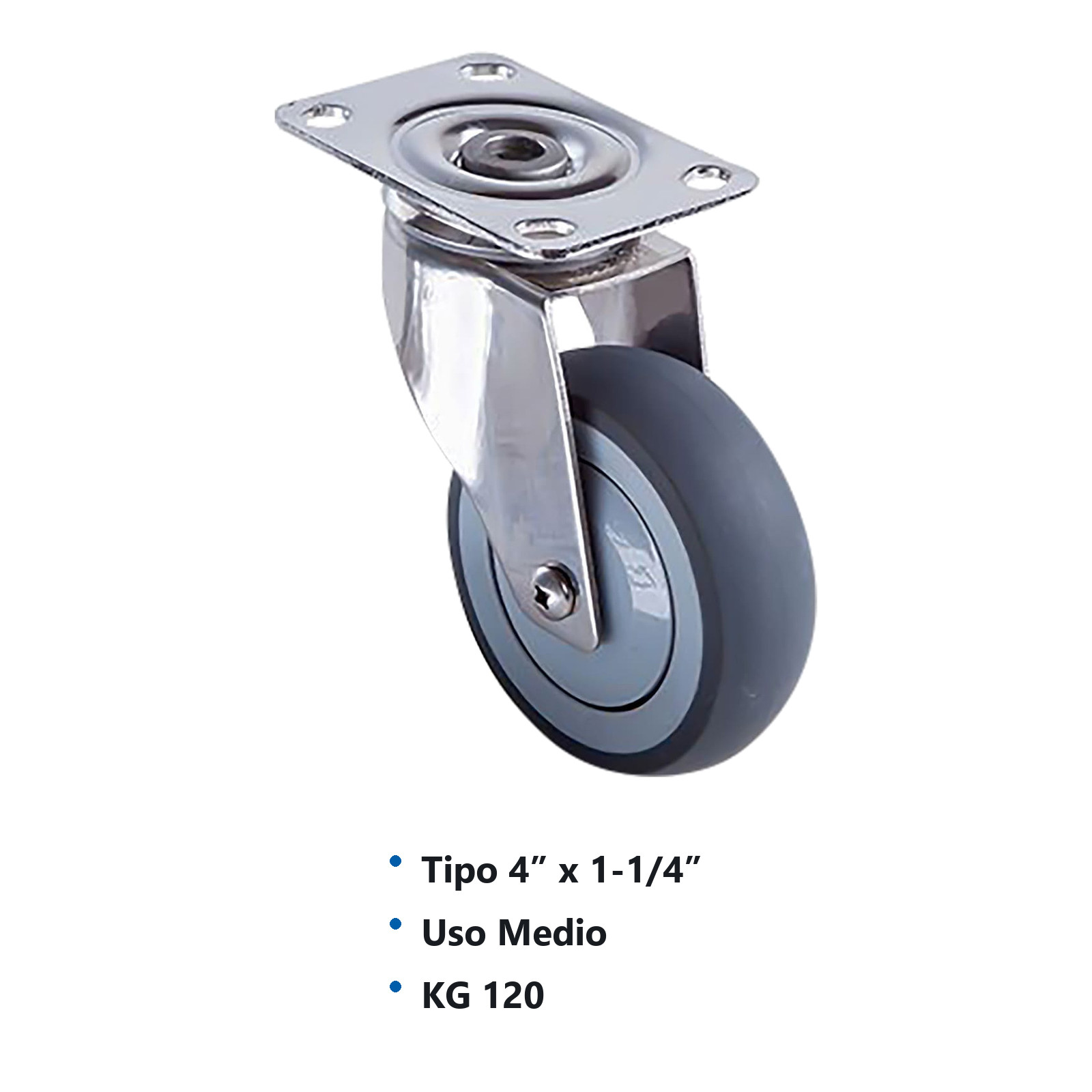 RODAJA TPR HORQUILLA DE A. INOX. USO MEDIO GIRATORIA 4'' x 1-1/4'' (REEMPLAZA Y-5030-50) - Imagen 2